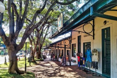 Walking Safari of Victoria Falls Town