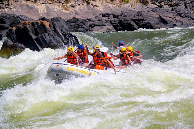 Whitewater Rafting on the Zambezi River from Victoria Falls - Seasons and water levels: when the rapids are strongest and when plans change