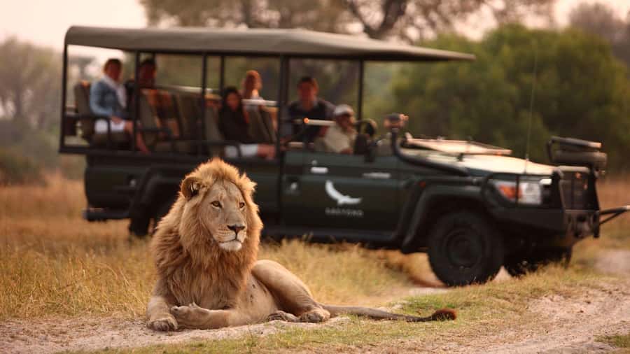 Zambezi 3hr Game Drive - Key Things That Make This Zambezi 3hr Drive Worth It