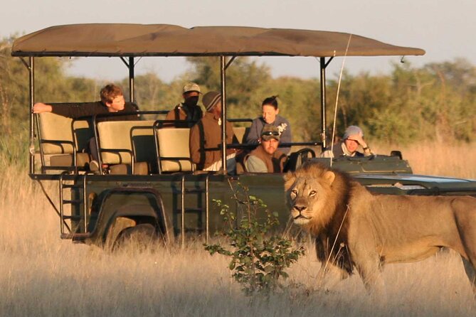 Zambezi National Park AM or PM Game Drive - What to bring for a comfortable Victoria Falls safari day
