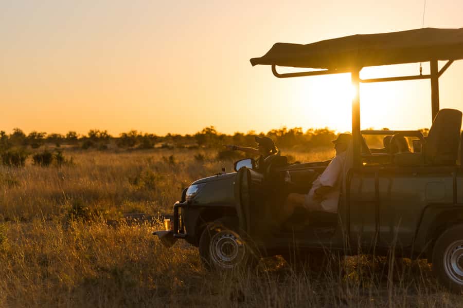 Zambezi National Park Game Drive in a Small Group - Why This 3-Hour Zambezi Game Drive Fits Victoria Falls So Well