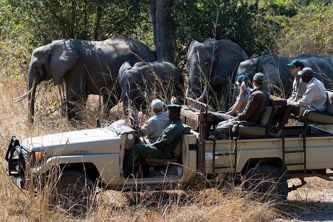 Zambezi Sunset Cruise + Game Drive Safari with hotel Pick Up - Hotel Pickup and the 8:30 AM Start Time Reality Check