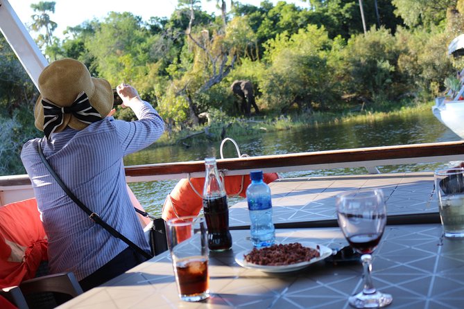 Zambezi Sunset Cruise - Wildlife, Drinks & Breathtaking Views - Wildlife Along the Riverbanks: Hippos, Crocodiles, and Possible Elephants