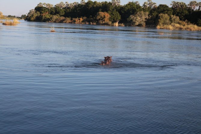 Zambezi Sunset Cruise - Wildlife, Drinks & Breathtaking Views - The Crew and the On-Deck Atmosphere at Dusk